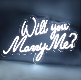 Neon Lights - Will you marry me Neon Light