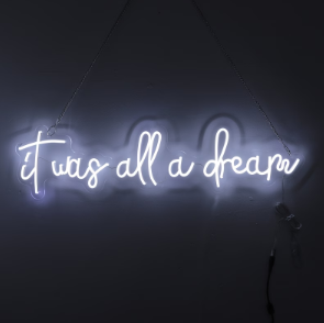 Neon Lights - It was all a dream Neon Light