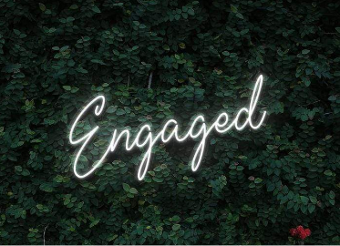 Neon Lights - Engaged Neon Sign LED Light