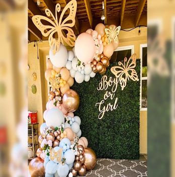 Baby Shower Decor - Butterfly Baby Shower theme Decor